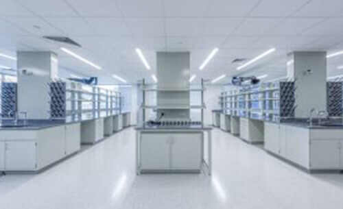 design build services firm completes seqirus lab facility 