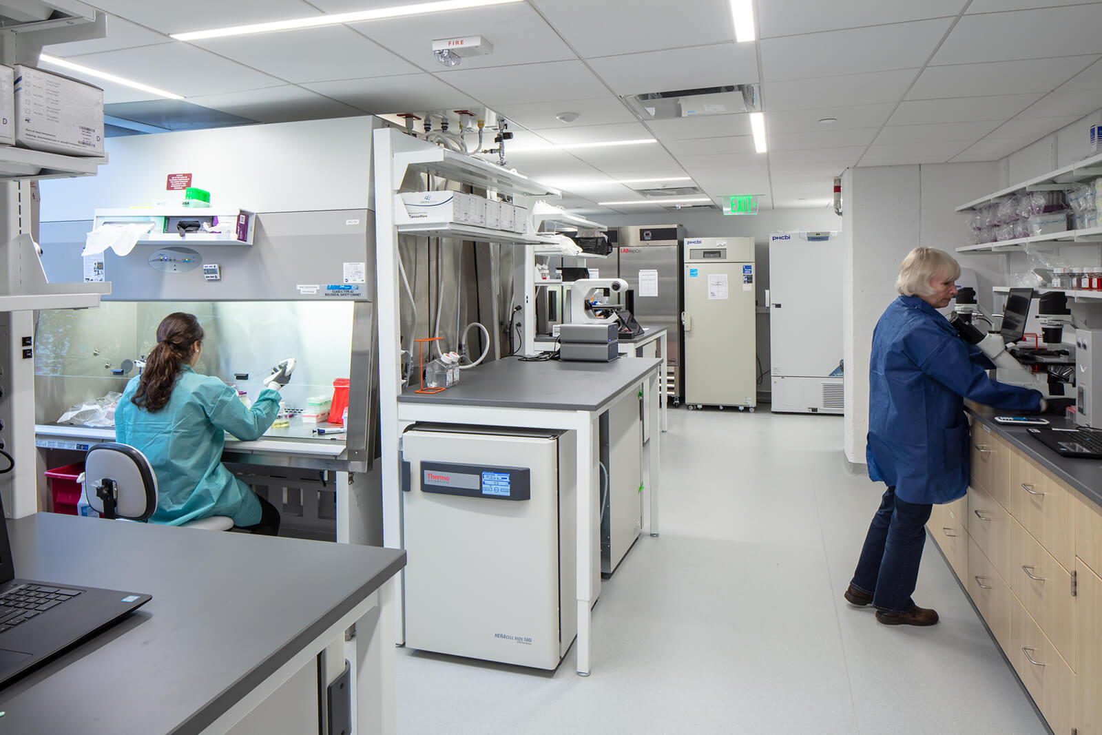 design build services firm for beam therapeutics