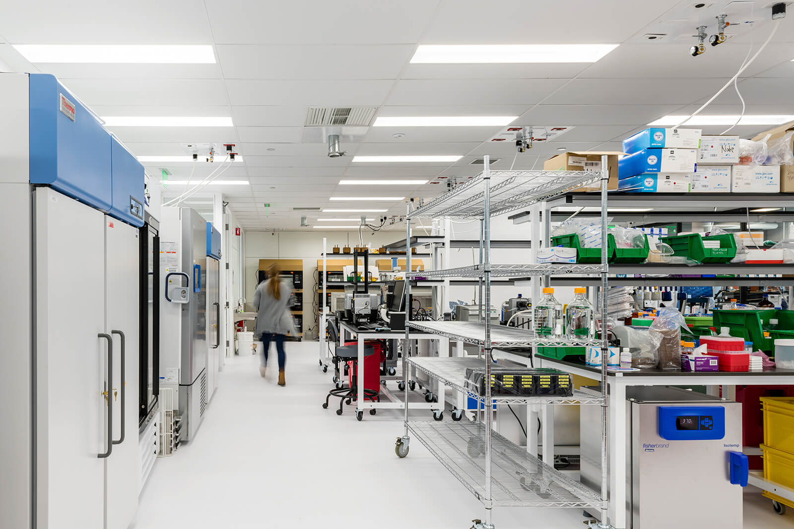 design build services firm for ginko bioworks