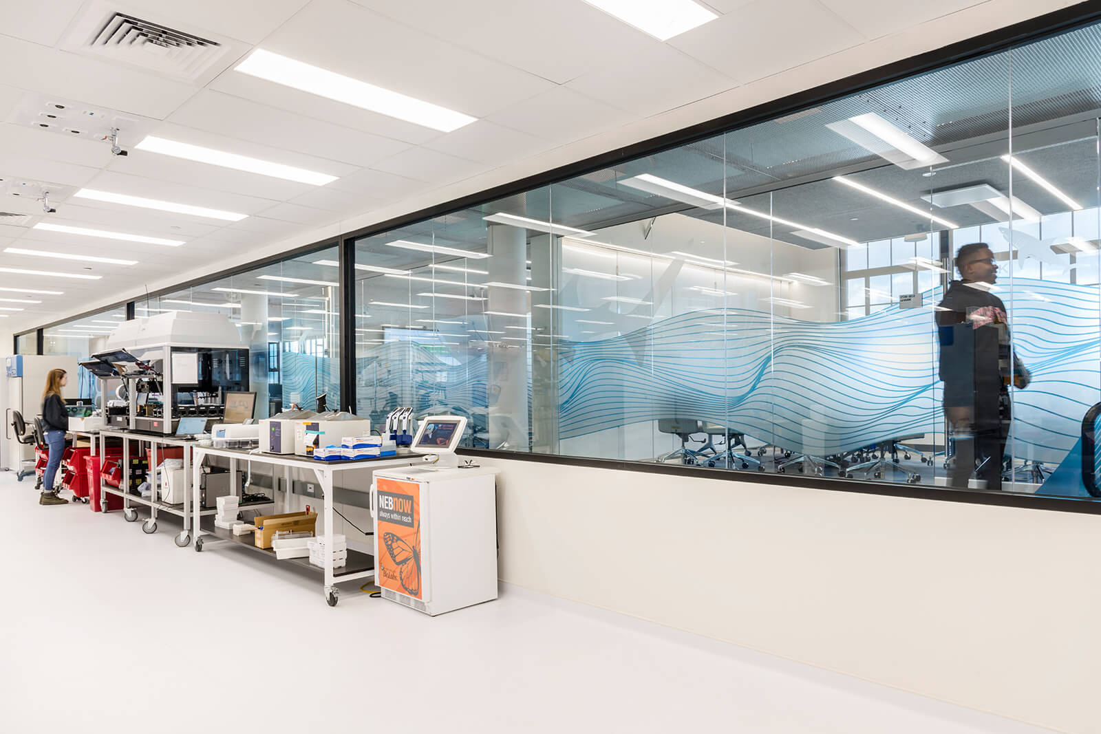 design build services firm for ginko bioworks