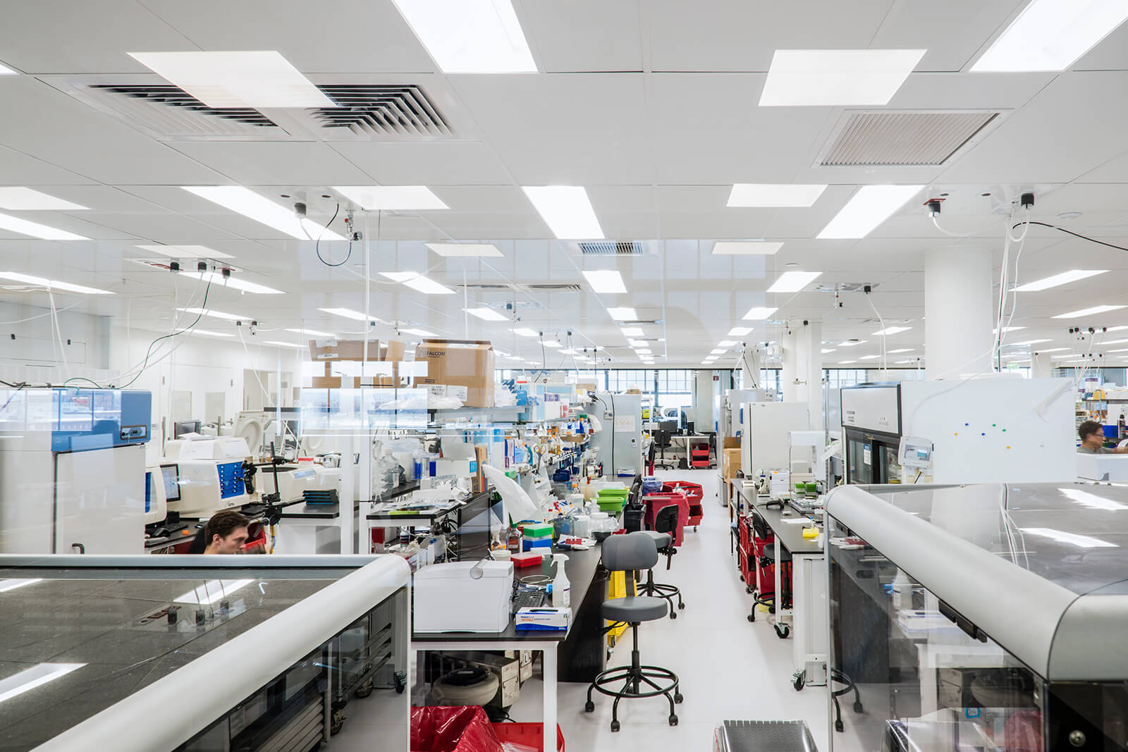 design build services firm for ginko bioworks