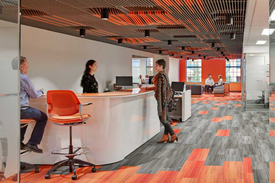 design build services firm for lab central
